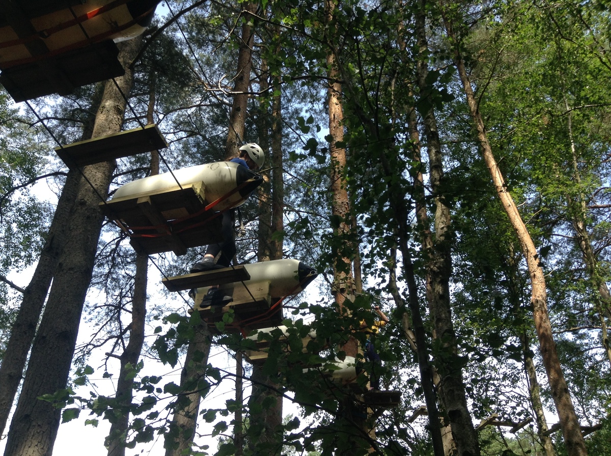 Wild Pines Park
